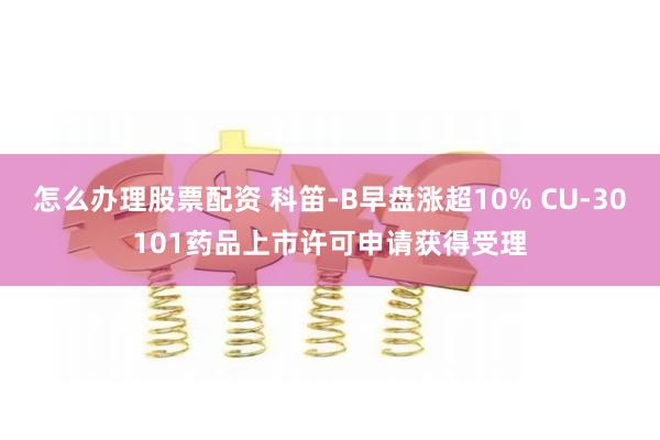 怎么办理股票配资 科笛-B早盘涨超10% CU-30101药品上市许可申请获得受理