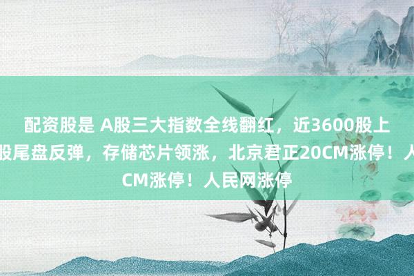 配资股是 A股三大指数全线翻红，近3600股上涨，芯片股尾盘反弹，存储芯片领涨，北京君正20CM涨停！人民网涨停