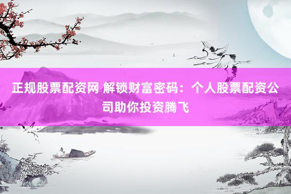 正规股票配资网 解锁财富密码：个人股票配资公司助你投资腾飞