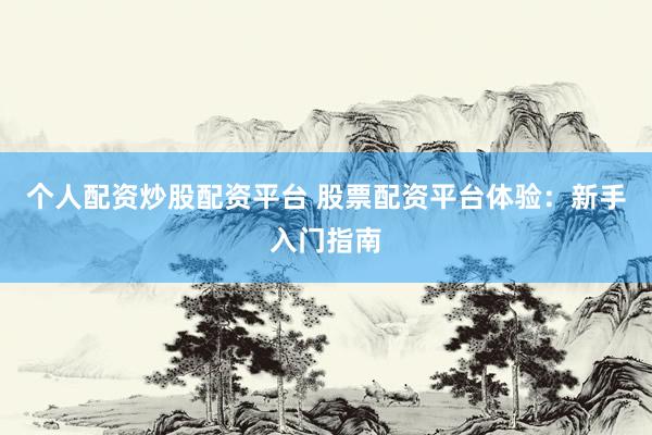 个人配资炒股配资平台 股票配资平台体验：新手入门指南